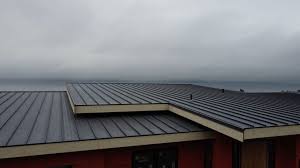 Best Roof Coating and Sealing  in Pendleton, SC